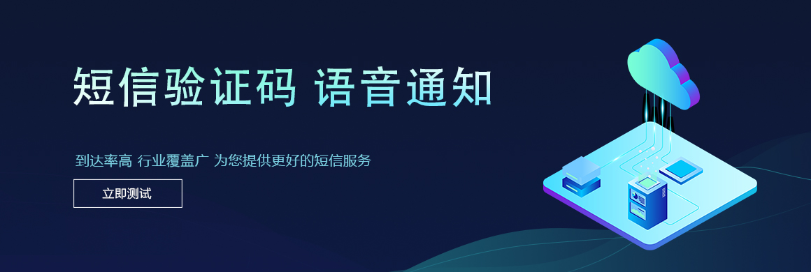 已有13年的IT管理服务经验